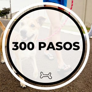 juego 300 pasos